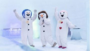 アダルトビギナー の画像